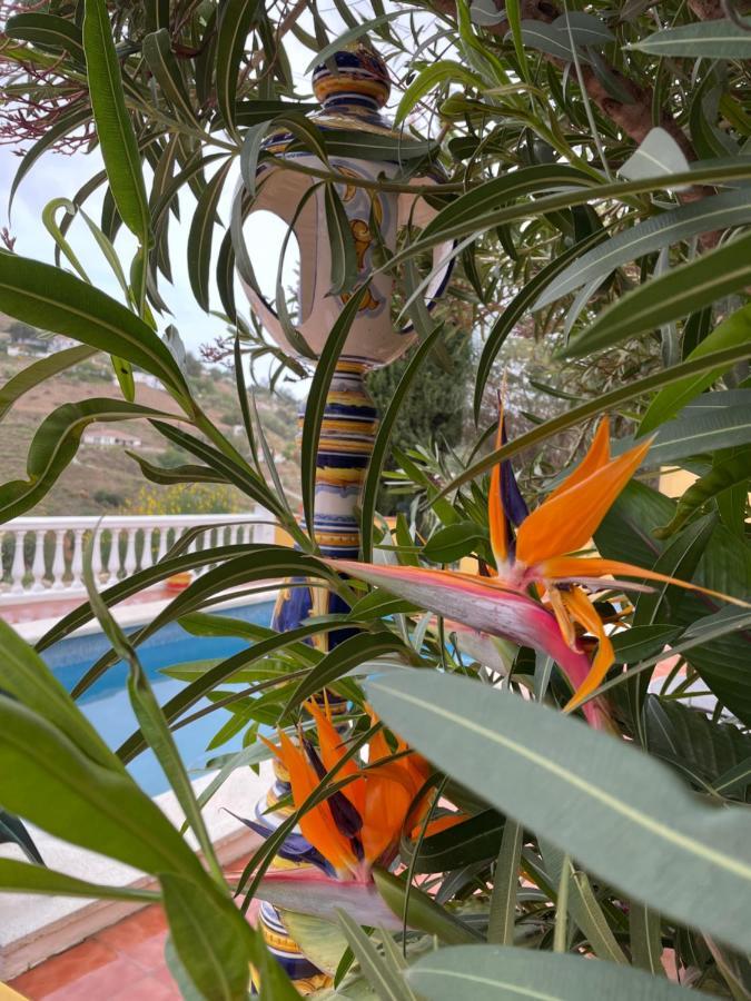Villa Abril Cómpeta Екстериор снимка